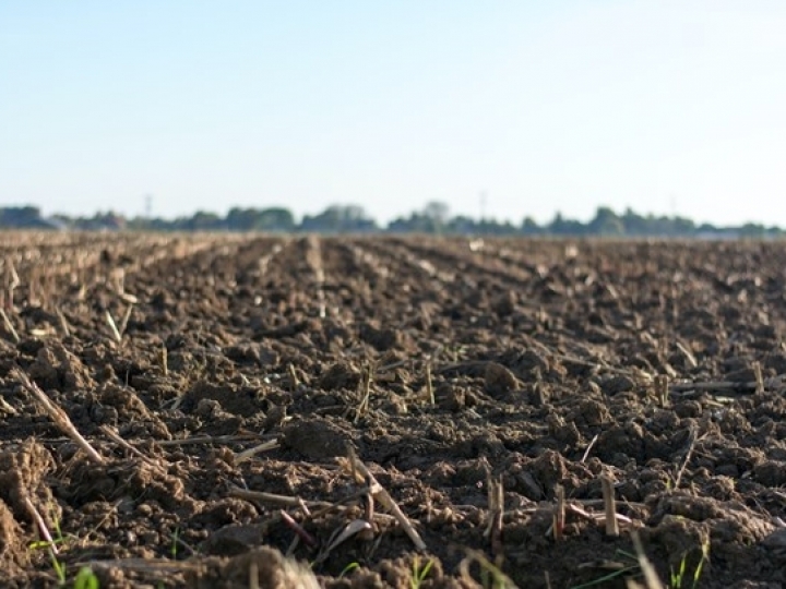 Dados do IAC mostram que cresce o número de laboratórios de solos que oferecem mais opções ao setor