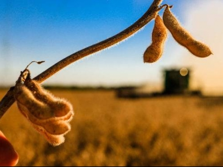 Colheita de soja ultrapassa 50% em todo o país