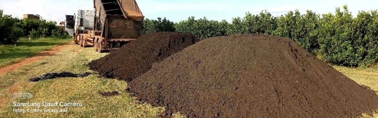 Fertilizante orgânico composto Tera Nutrição Vegetal.  Foto: Divulgação
