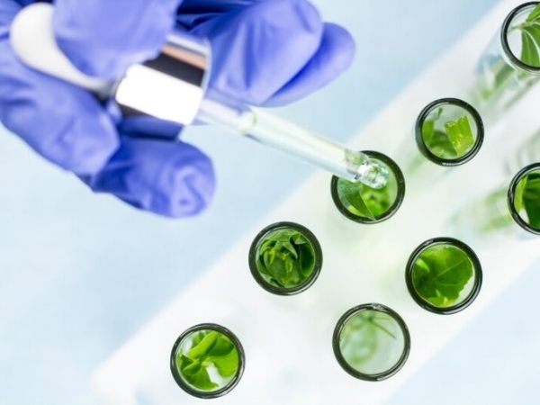 Alta profissionalização nas empresas de multiplicação de sementes fortalece elo entre produtor rural e biotecnologia . Foto: Divulgação