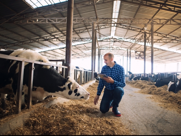 Foto por aleksandarlittlewolf - freepik 