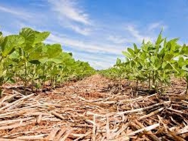 ESG na pauta: grupo de trabalho estabelece metas de sustentabilidade da Conab