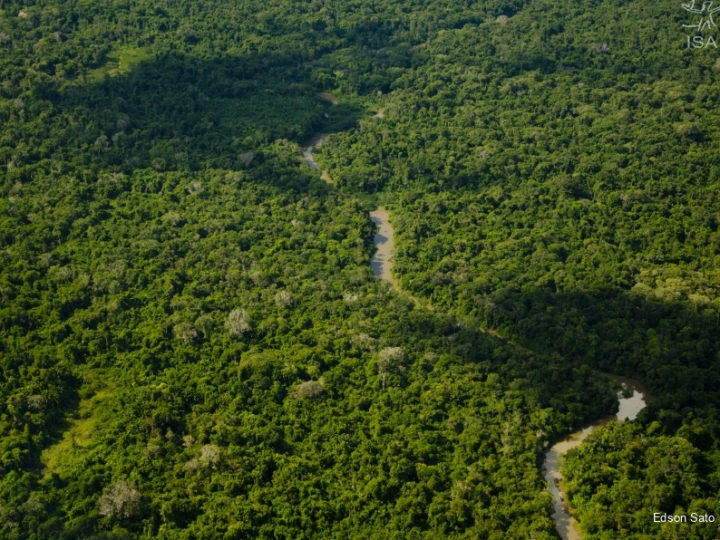 Aumento do desmatamento em terras indígenas pode impedir o Brasil de cumprir metas climáticas