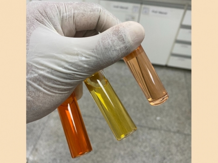 Cientistas usam solvente ‘verde’ e pigmento natural na produção de bioplástico