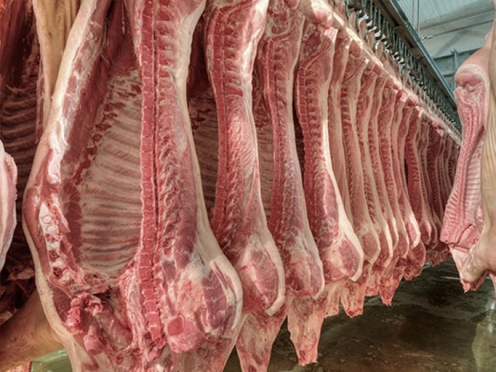 Exportações de carne suína alcançam 91,4 mil toneladas em março