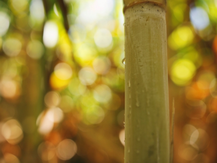A água é um insumo de produção e não um produto para substituição das chuvas