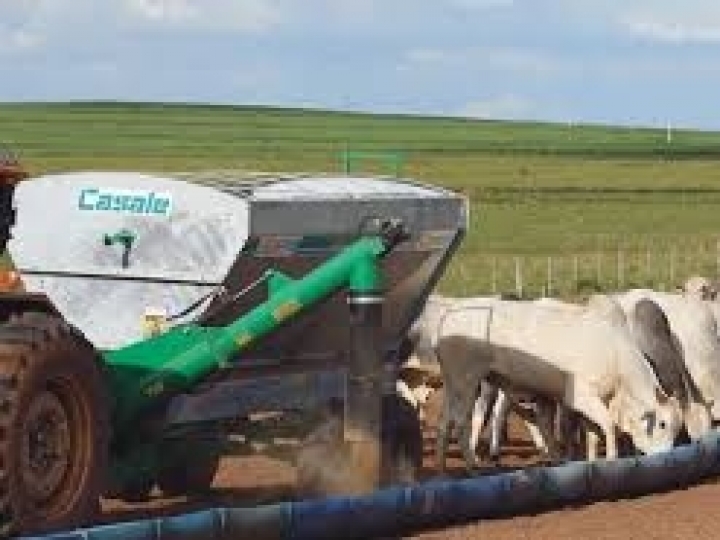 Casale Equipamentos apresenta novidades do mercado de misturadores de ração em nova edição da Agrishow, maior feira agrícola da América Latina