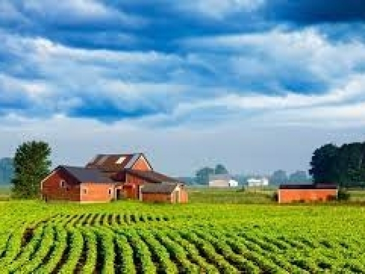 Plano prevê acelerar regularização ambiental nos imóveis rurais