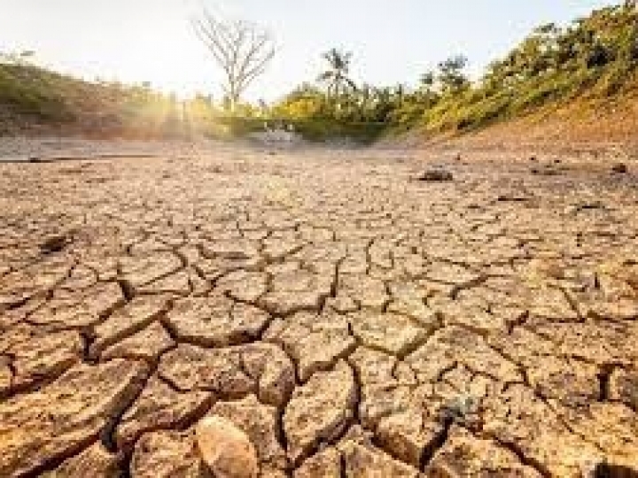 Governo regulamenta desconto de 35,2% nos financiamentos para produtores rurais atingidos pela seca