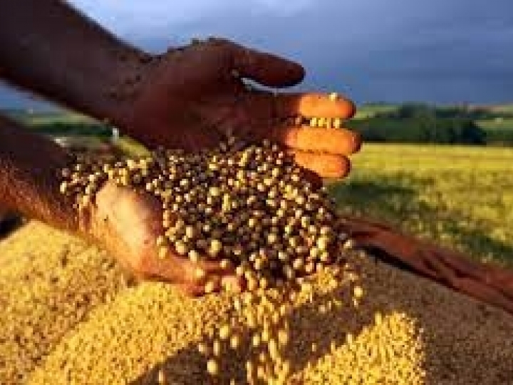 CNA diz que aprovação de crédito suplementar vai destravar contratação de recursos para a safra