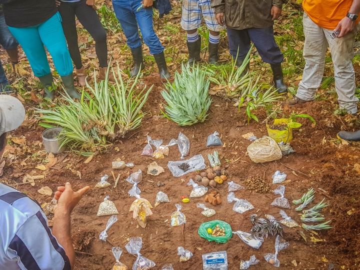 Crise ou oportunidade? Enquanto o mercado global restringe insumos, produtores inovadores já visualizam alternativas viáveis