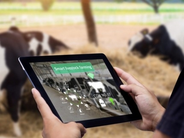 A edição 2020/2021 identificou 1.574 agtechs. Foto: Divulgação