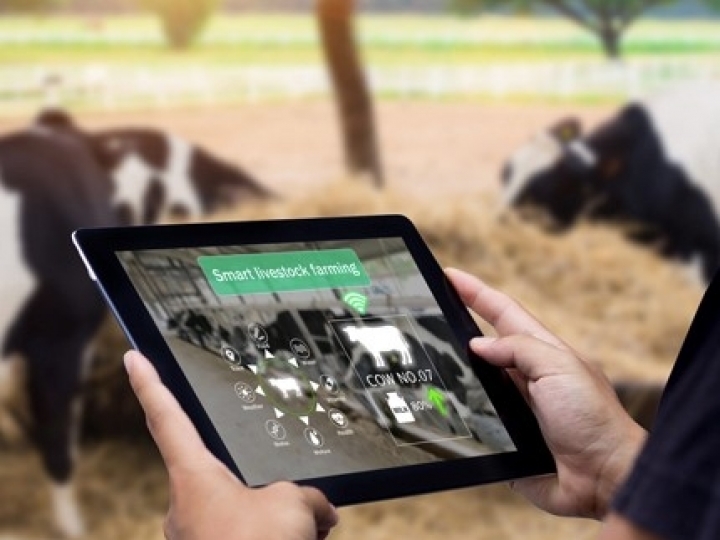 Startups do agro têm até 31 de maio para se cadastrarem no Radar Agtech Brasil 2022