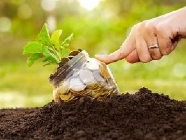 Agronegócio brasileiro atinge 71 bilhões de reais no ano