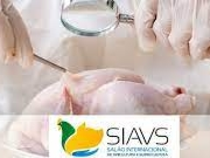 Inscrições para Mérito de Pesquisa Aplicável ABPA terminam sexta-feira