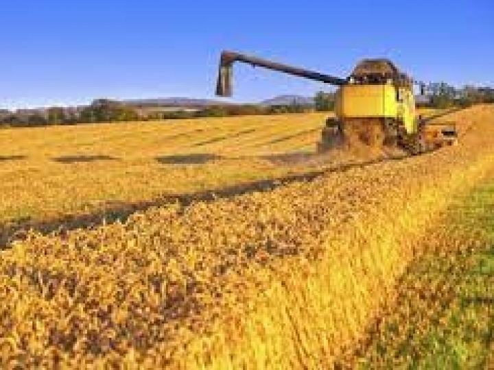 Agronegócio chama a atenção de investidores urbanos