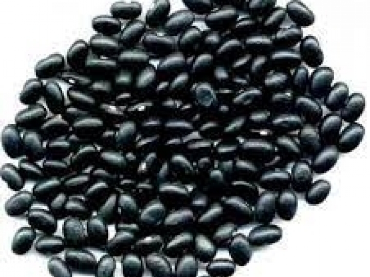 Produção de feijão-preto supera consumo em pelo menos 100 mil toneladas