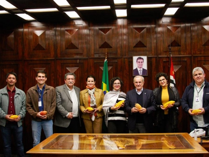 Incremento à produção de cacau em SP é tema de reunião na SAA 