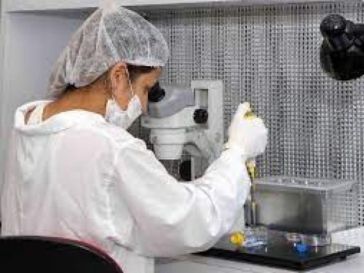 Laboratório de reprodução animal do IZ recebe visita de especialistas em criopreservação de sêmen bovino