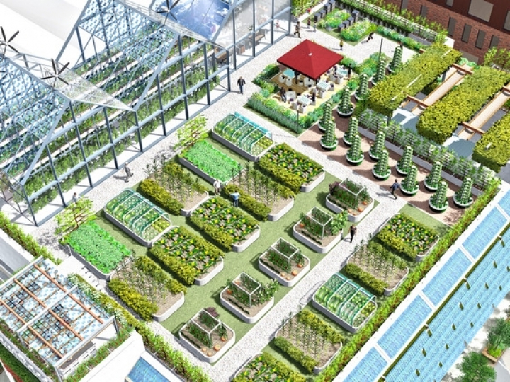 IAC  realiza o II Workshop Urban Farming