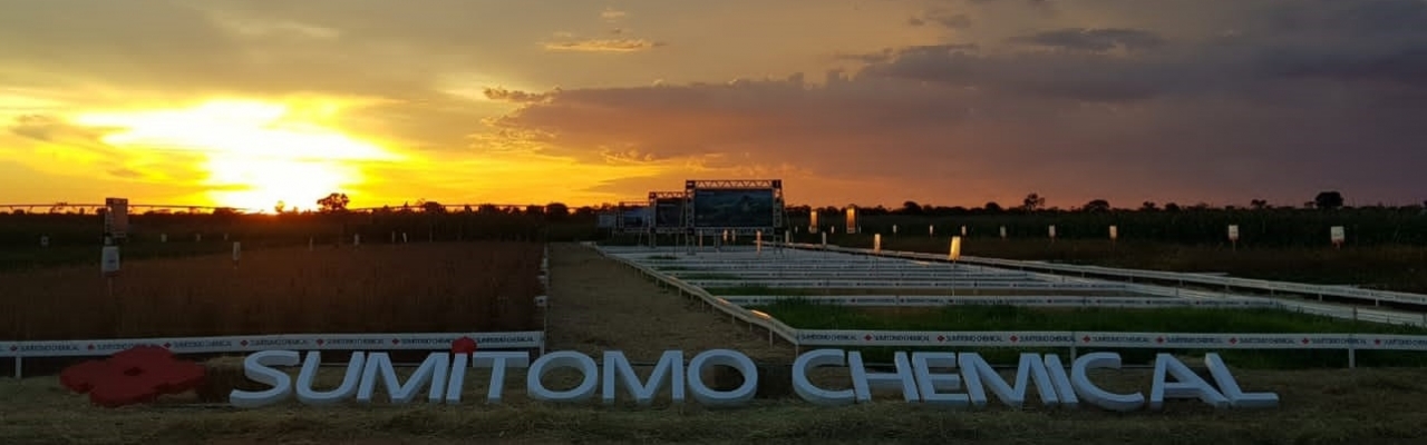 A Sumitomo Chemical recebeu aprovação de registro no Brasil, o maior país produtor de soja do mundo, para seu fungicida de soja EXCALIA MAX®, que contém o novo ingrediente ativo INDIFLIN®*.  Foto: Divulgação