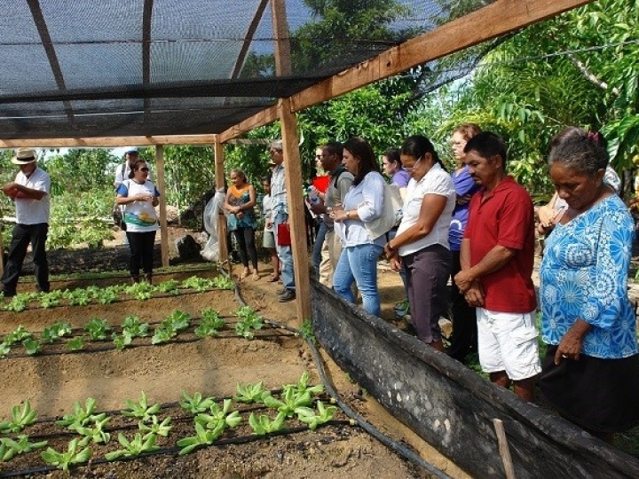 Sistemas Agrários é tema de curso voltado para agricultura familiar