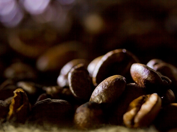 O mercado de café descafeinado é um nicho que pode crescer. Cerca de 10% dos consumidores de café no mundo costumam consumir esse tipo da bebida. Foto: Paulo Lanzetta