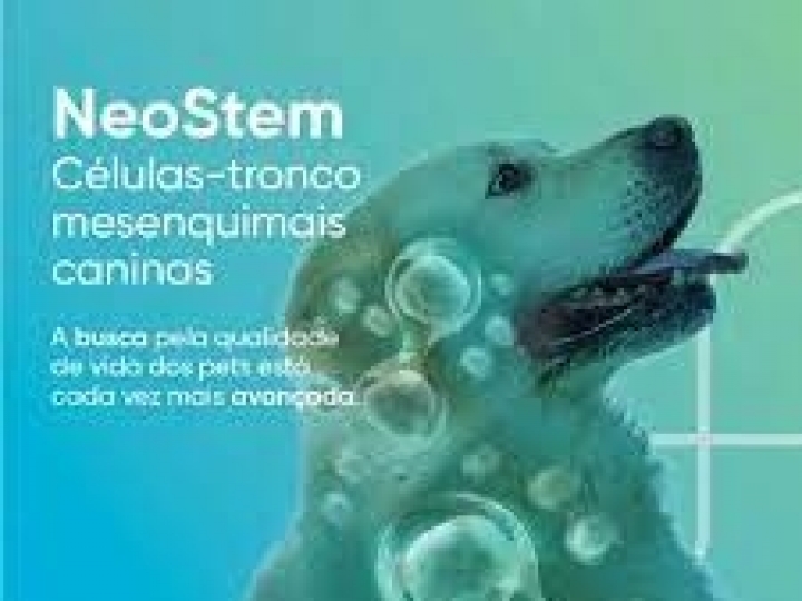 Ourofino lança inovador tratamento com células-tronco para cães