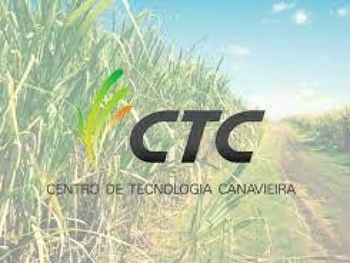 CTC registra lucro de R$ 134 milhões na Safra 21/22, crescimento de 23,6%