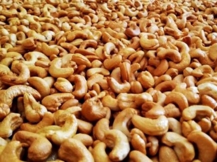 Limite máximo de contaminantes de cobre para o mercado das castanhas