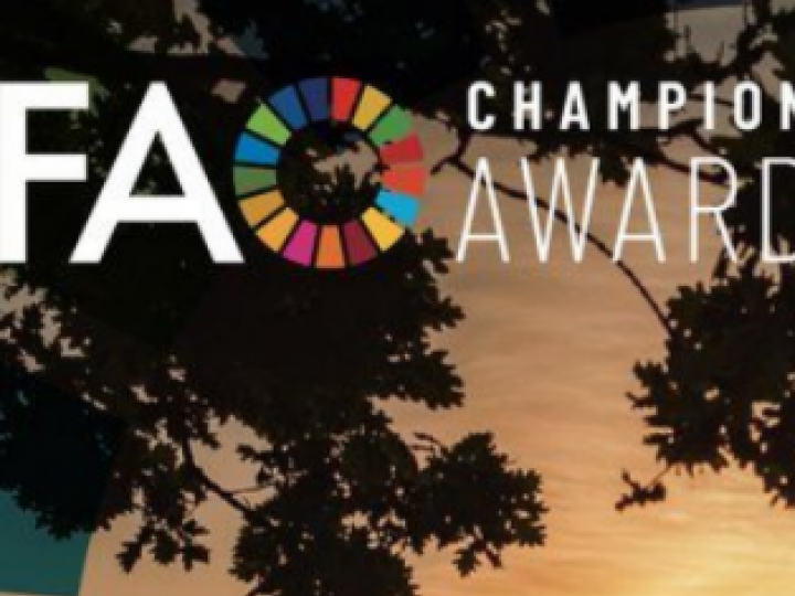 Embrapa recebe prêmio internacional da FAO por sua contribuição para a Agenda 2030