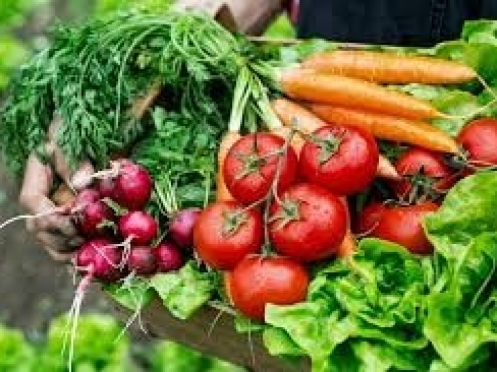 Boletim Prohort sinaliza queda de preços das hortaliças no país