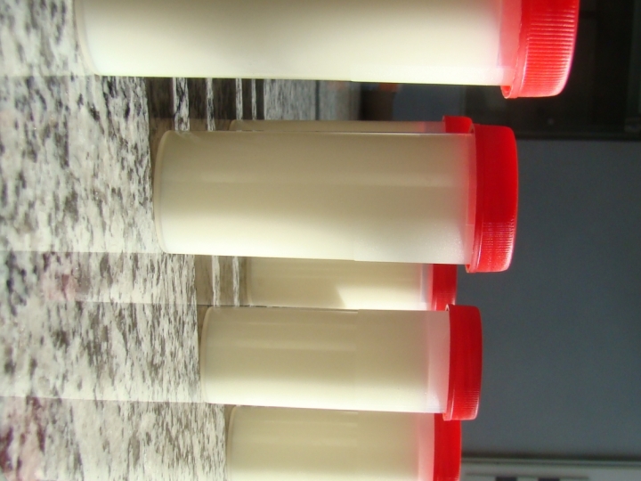 IZ realiza webinar sobre terapias alternativas para melhoria da produção e qualidade do leite  