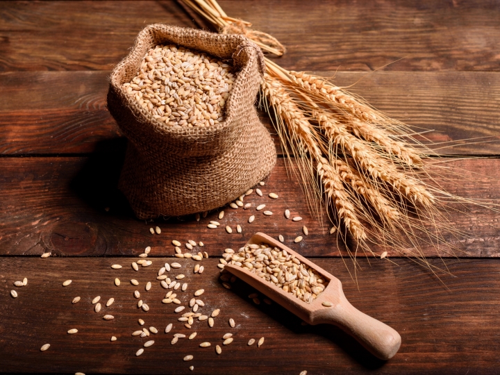 Consumo e produção de trigo crescem e impactam positivamente Região dos Campos Gerais