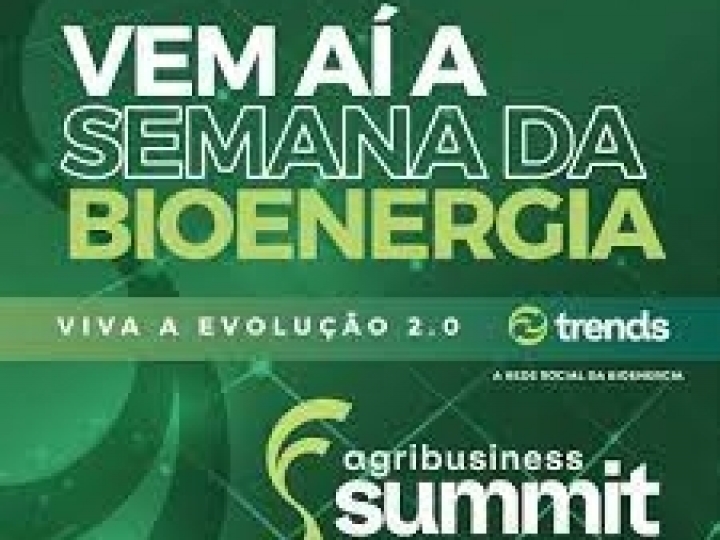 Para especialistas, Brasil precisa investir em descarbonização para superar os desafios da sustentabilidade 