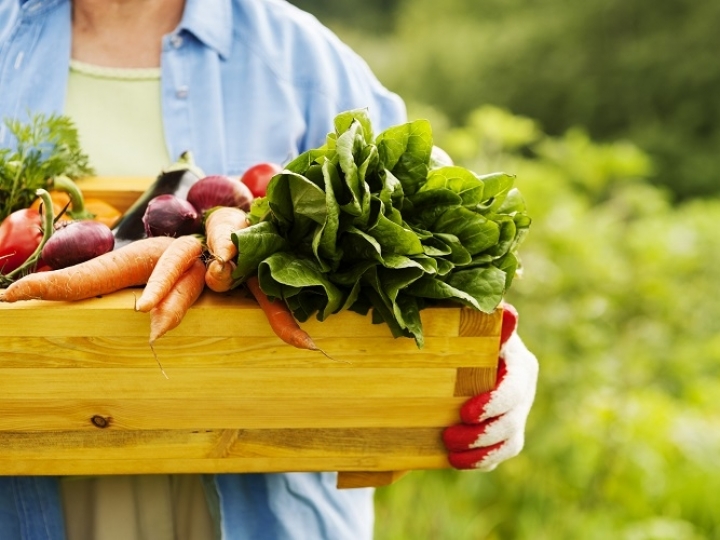 Consumo mundial de alimentos deve aumentar 62% até 2025, o que exigirá aumento de produtividade