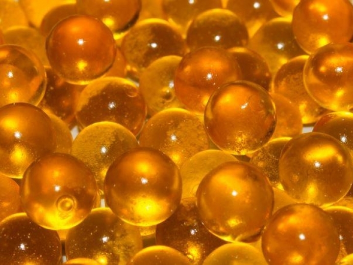 Começa o inverno, melhor época para se produzir truta