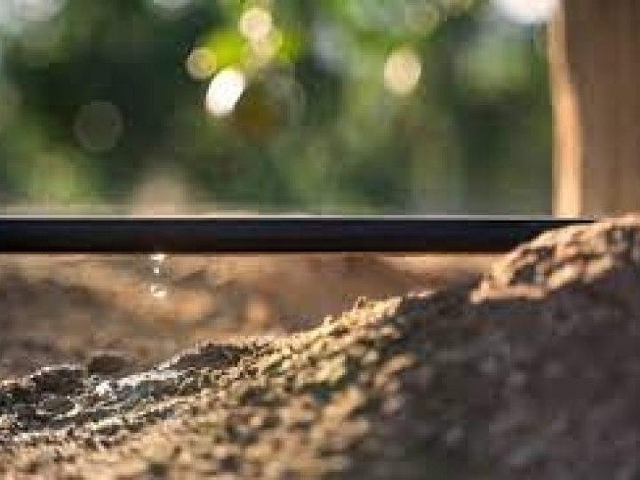 Netafim lança programa para capacitar estudantes e recém-formados para atuação no mercado de irrigação