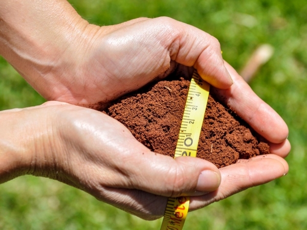 Nova regra aperfeiçoa informações sobre tipos de solos e funcionamentos deles associados às relações clima e planta. Foto: Fabiano Bastos
