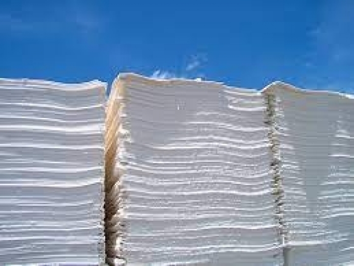 Maior e mais importante evento da América Latina do setor de celulose e papel retoma formato presencial