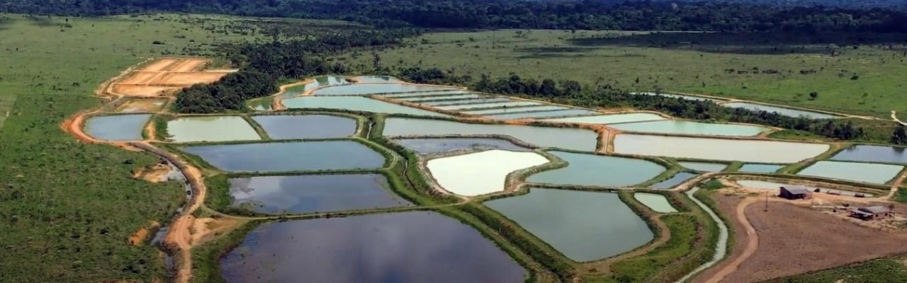 Propriedade de Carlos Alberto Ferreira Castilho em Rondônia. Foto: Divulgação
