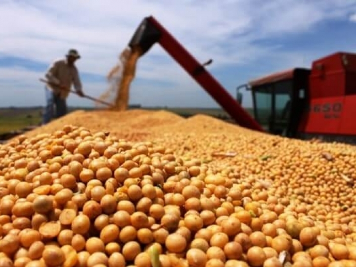 Indústria da soja aumenta processamento do grão e exportações registram novos crescimentos