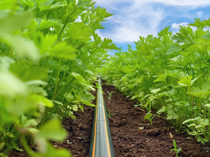 Da gota ao resultado: Netafim expõe mais completo portfólio de irrigação na Hortitec 2022