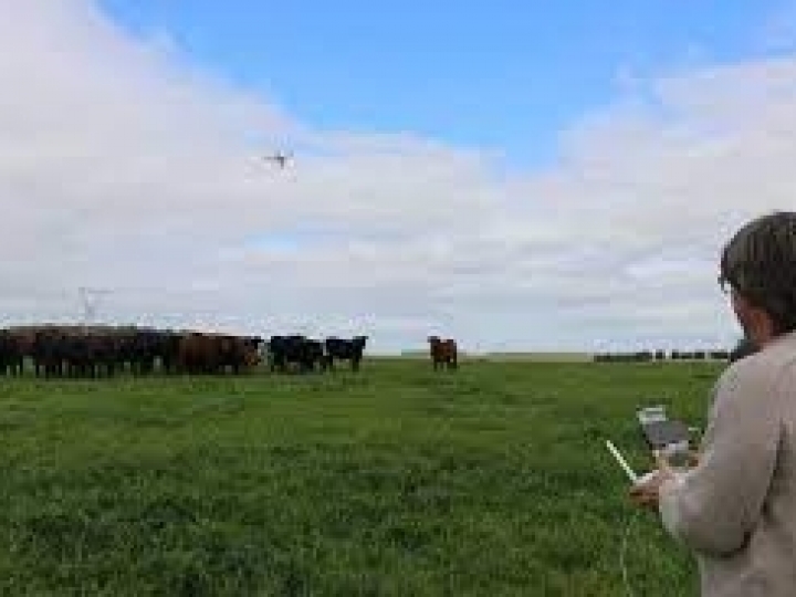 Seminário em Campo Grande (MS) irá debater iniciativas descarbonizantes na agropecuária