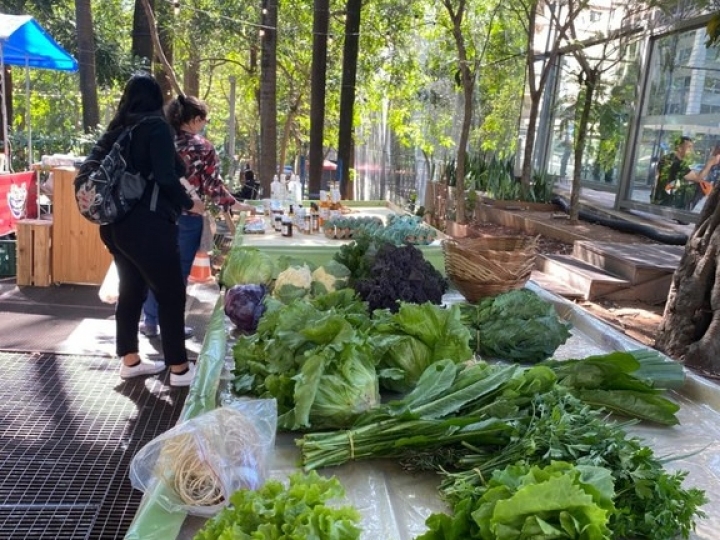 Operação Illusio detecta produtos orgânicos irregulares em São Paulo