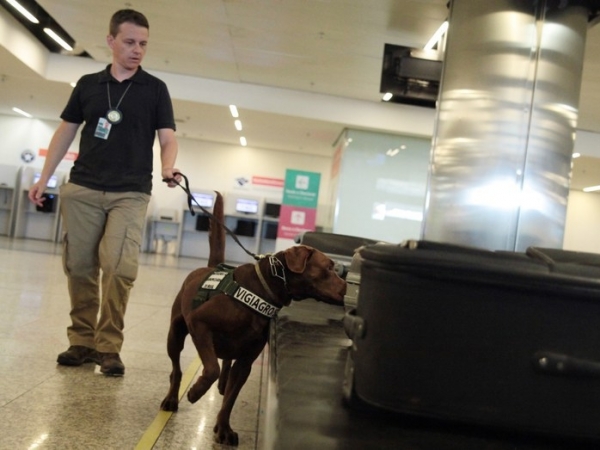 Fiscalização de bagagens no aeroporto - Foto: Arquivo/Mapa