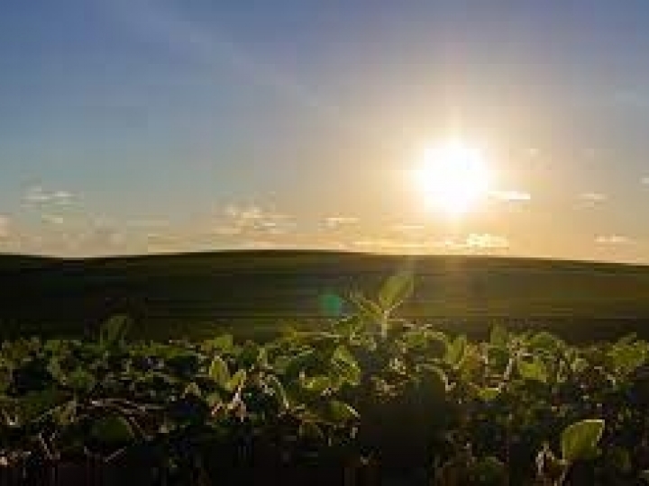 Governo autoriza pagamento de equalização de taxas de juros do Plano Safra