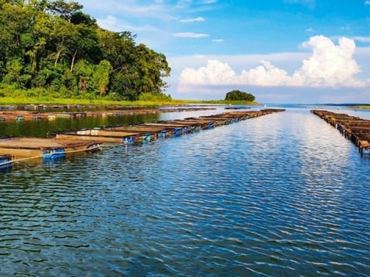 AgroResidência abre primeiro edital para seleção de projetos da aquicultura