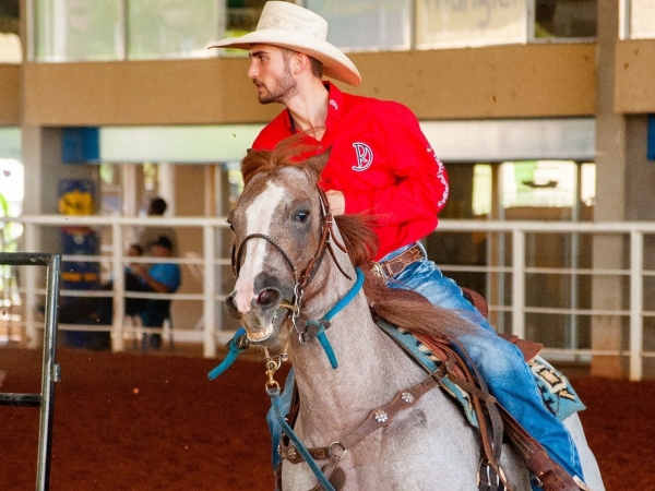 Prova de Team Penning será destaque na arena da Grande Festa do Peão de Sertãozinho nesta sexta, 08, e no sábado, 09