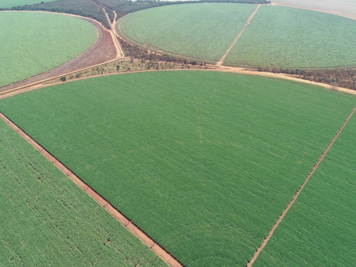 Bevap Bionergia tem o maior projeto de irrigação  do Brasil no setor sucroalcooleiro